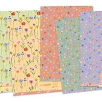 MAXI 1R 80GR 40+2FF KAMI COLOR FANTASY CF10 02500451R