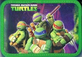 NINJA TURTLES ASTUCCIO 2ZIP FLUO POWER 128451