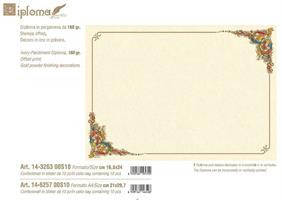PERGAMENA KARTOS DIPLOMA 16,5X24 160GR FG10 3263