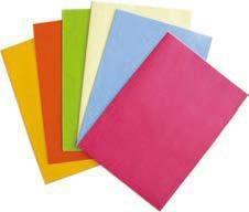 CARTA REGALO PIEGATA 50FG FLORIO PERLATA 70X100 SC050FPC3 232