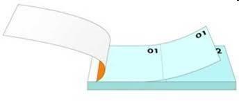 BLOCCO NUMERATO 1-100 CF50 TENUI MOD.12 0100095