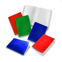 RUBRICA PIGNA 15x21 MONOCROMO 40FF 80GR 0201029