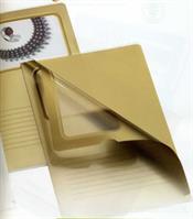 CARTELLA C/FINESTRA PVC 22X30 10PZ ORO FAVORIT