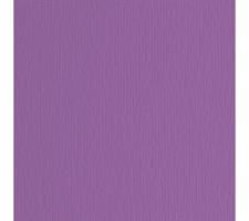 CARTONCINO FABRIANO 70X100 LR VIOLA 220GR. CF10 46470104