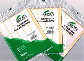 ETICHETTE ADESIVE CIAC 33 56X22 10FG AP039