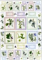 CARTA DECOUPAGE FERRARIO 50X70 PIANTE AROMATICHE 1041