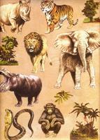 CARTA DECOUPAGE 33X48 12FG ANIMALI BRICO 8005-8021