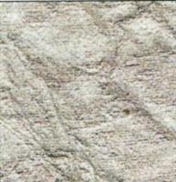 CARTA RISO FERRARIO 56X76 ARGENTO METAL PELLE 02012
