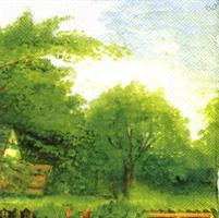 TOVAGLIOLI 33X33 PAESAGGIO CF20 6040