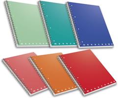 QUADERNO SPIRALATO A5 C/FORI 5MM PIGNA MONOCROMO CF5 0215559