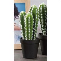 RI VASO CACTUS 11XH27 49711