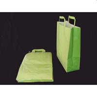 SHOPPERS MANICO PIATTO 32+17x45 VERDE CHIARO CF50 SA340119VECP