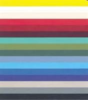 COPERTINA PER RILEGARE 240GR GIALLO TELATA A4 100FG CAIMI