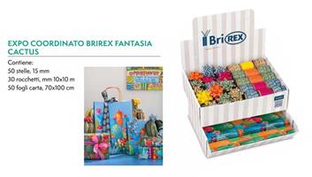 BRIREX EXPO COORDIN CACTUS 130PZ DB129 BRIZZOLARI 029439-99 391